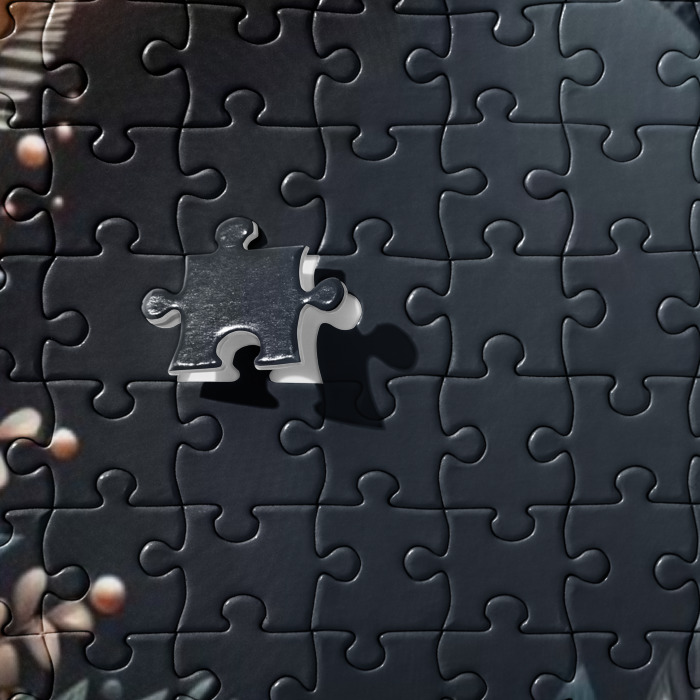 Jigsaw Puzzle, #1, Harmony's Eclipse